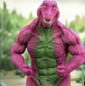 Meet your Posher, Maya